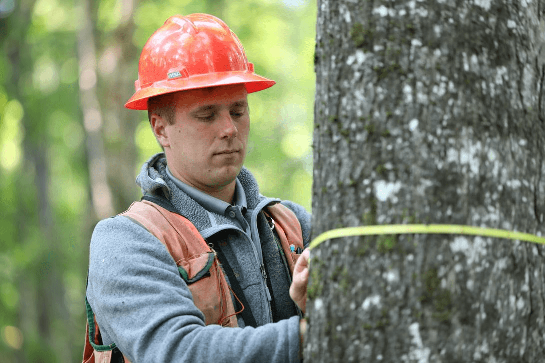 Meža inventarizācija